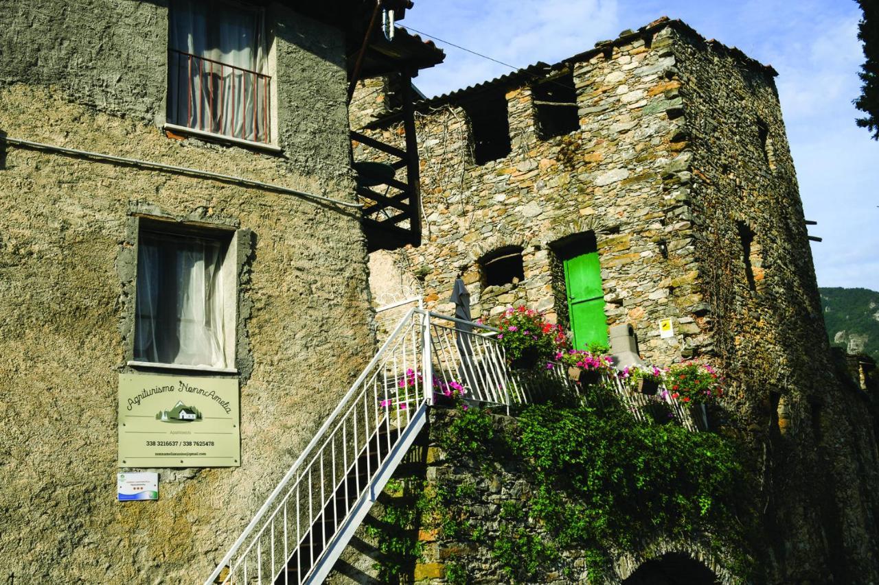 Nasino Agriturismo Nonnamelia מראה חיצוני תמונה