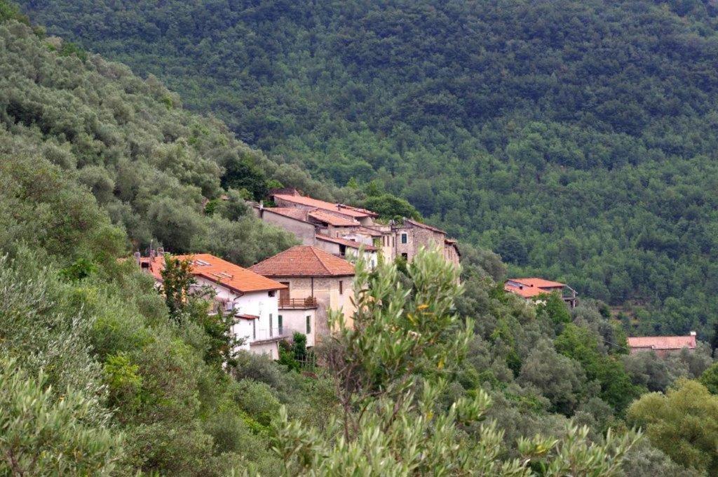Nasino Agriturismo Nonnamelia מראה חיצוני תמונה